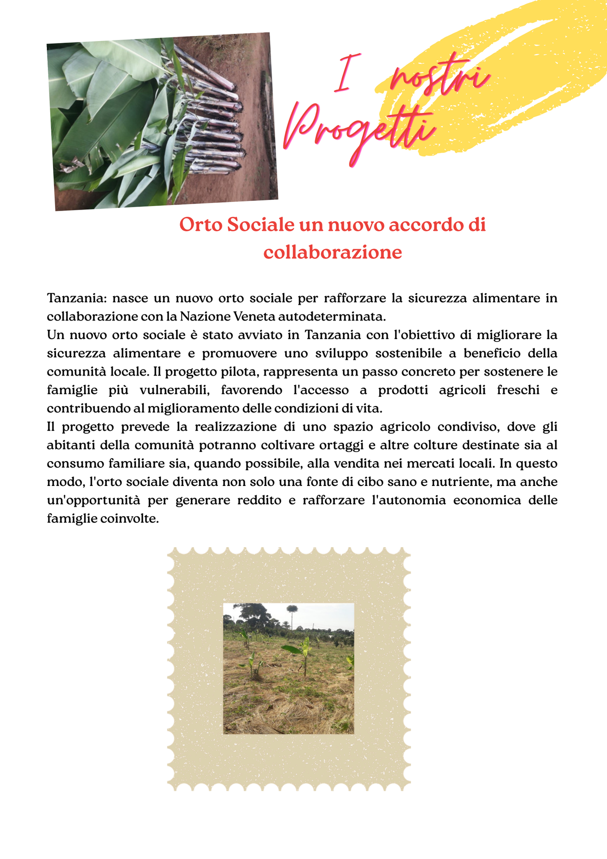 Pagina 5