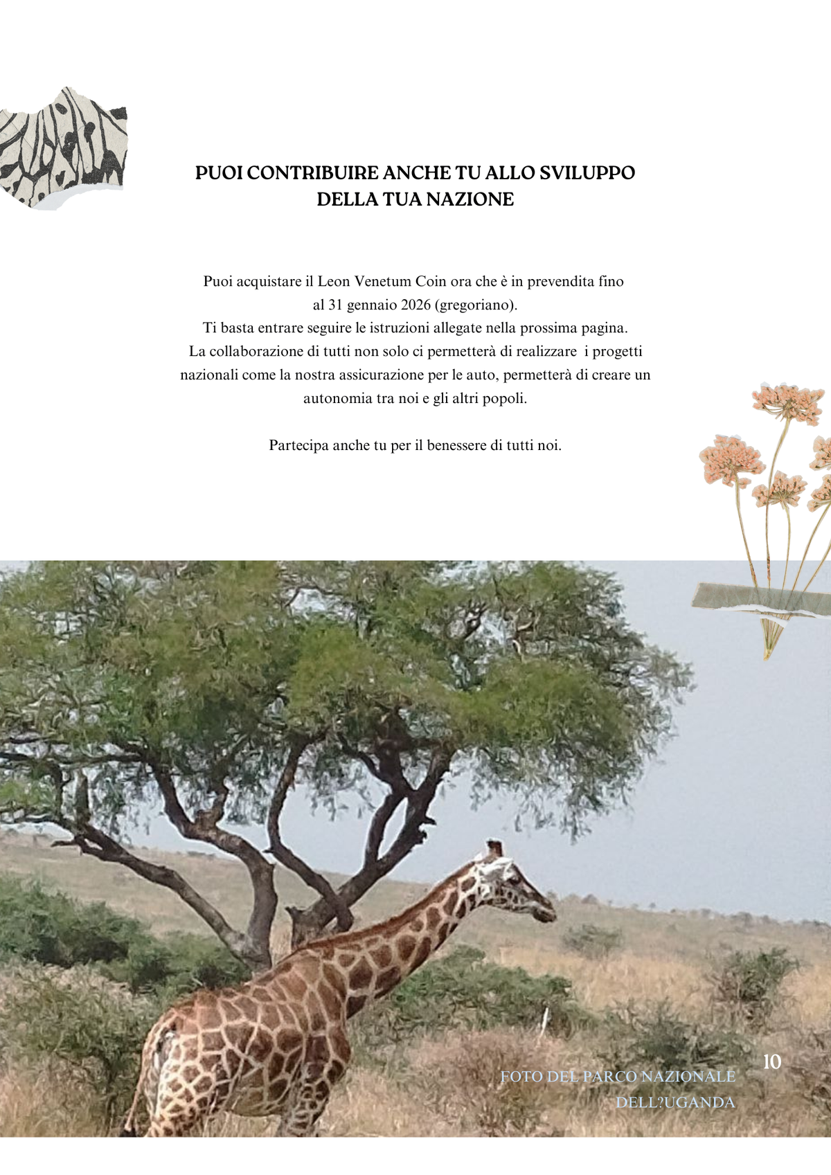 Pagina 11