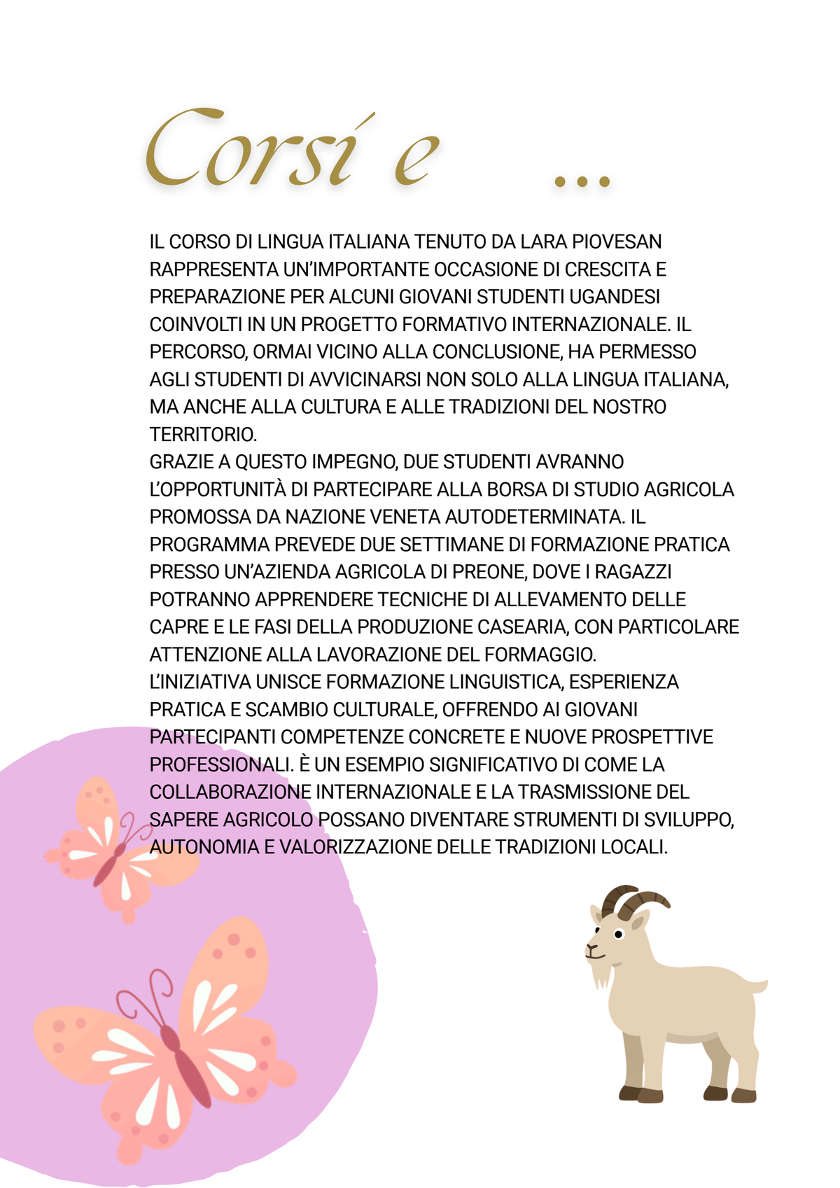 Pagina 11