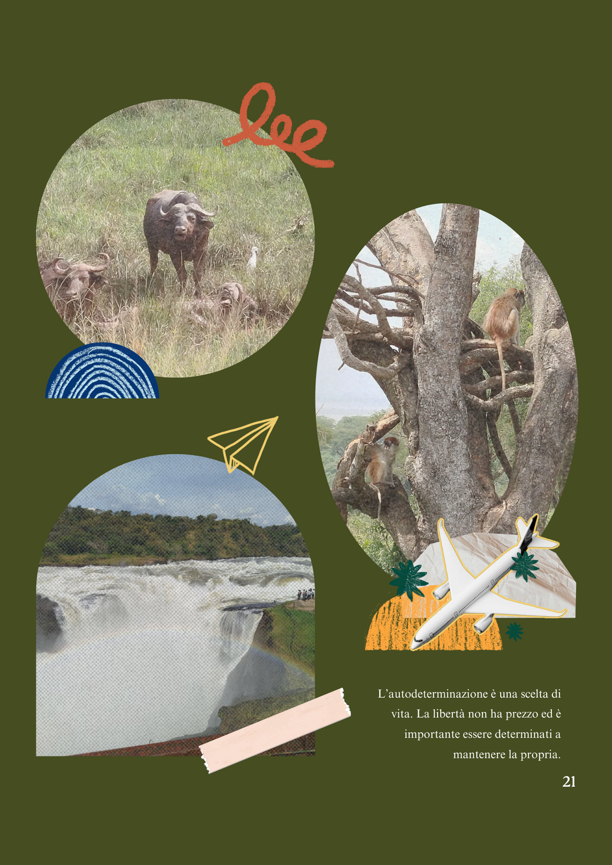 Pagina 22